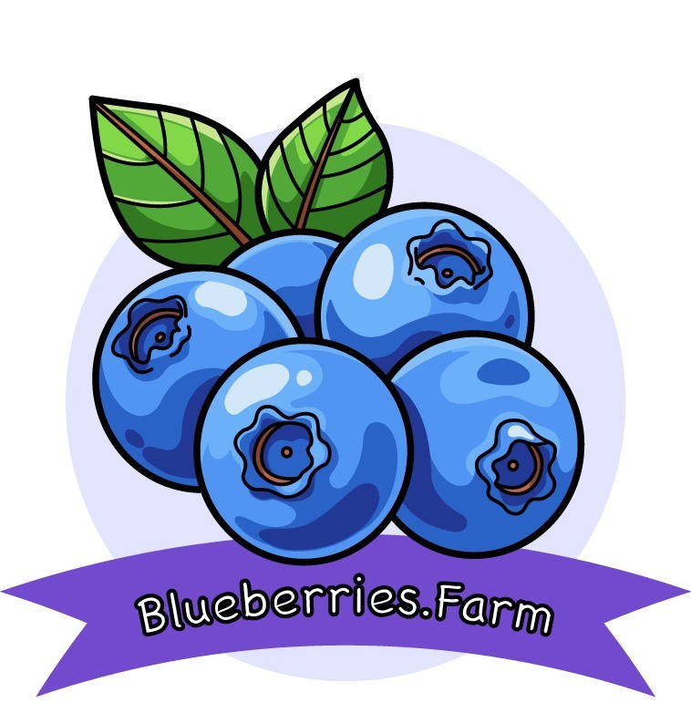 Blueberries Farm